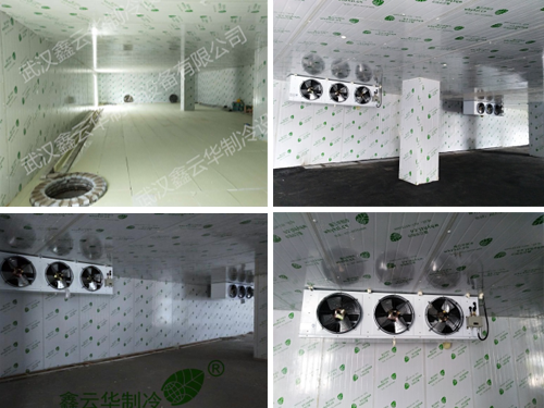 中建集團(tuán)防爆冷庫項(xiàng)目展示