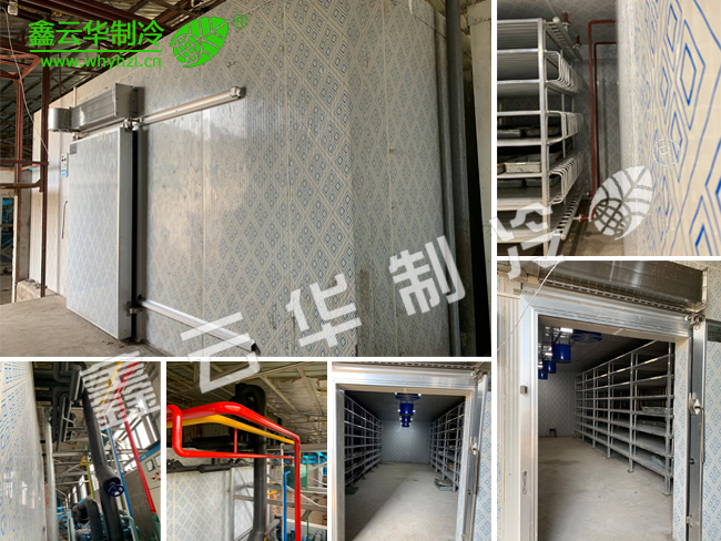 仙桃農(nóng)業(yè)速凍庫項(xiàng)目展示
